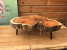 Taxus tafel