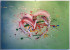 C54C5539-8380-43AF-A3A1-B9959FFE78B2