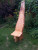 Hout-012