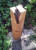 Hout-20150415 154154