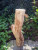 Hout-20150415 154258
