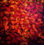 Olieverf abstract schilderij